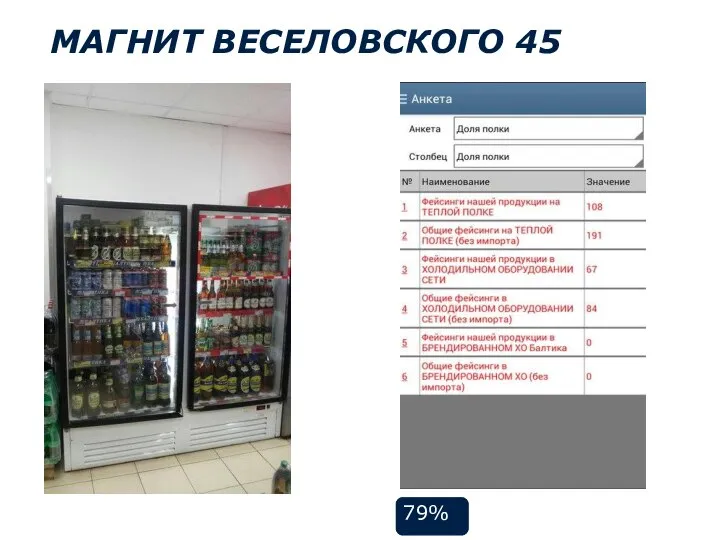 МАГНИТ ВЕСЕЛОВСКОГО 45 79%