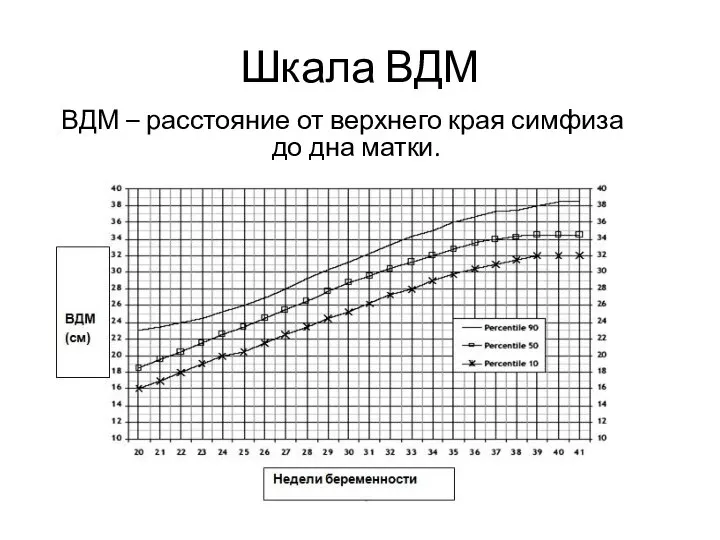 Шкала ВДМ ВДМ – расстояние от верхнего края симфиза до дна матки.