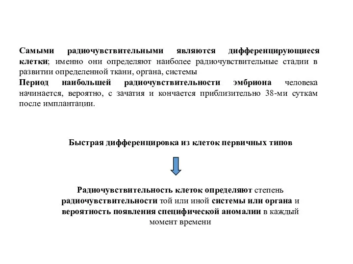 Самыми радиочувствительными являются дифференцирующиеся клетки; именно они определяют наиболее радиочувствительные стадии