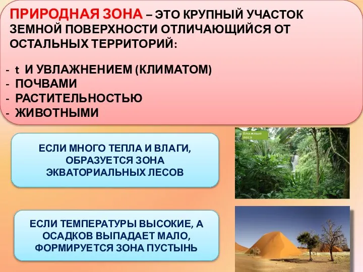 ПРИРОДНАЯ ЗОНА – ЭТО КРУПНЫЙ УЧАСТОК ЗЕМНОЙ ПОВЕРХНОСТИ ОТЛИЧАЮЩИЙСЯ ОТ ОСТАЛЬНЫХ