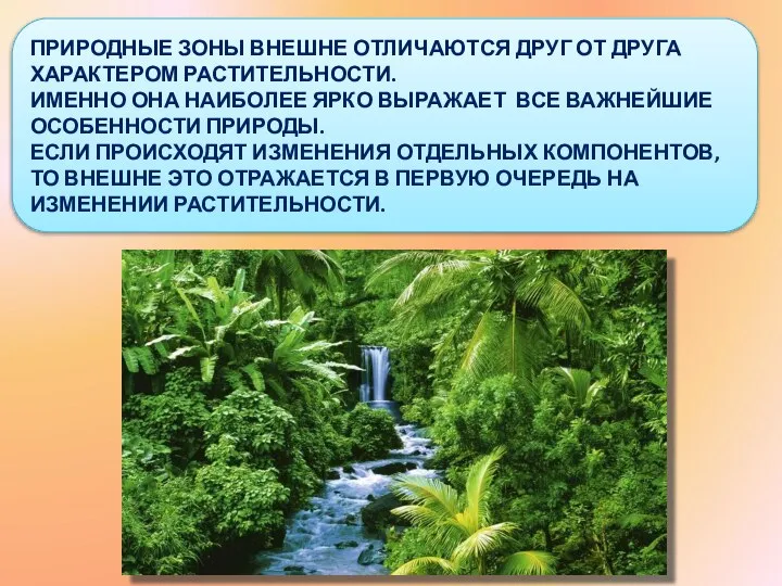 ПРИРОДНЫЕ ЗОНЫ ВНЕШНЕ ОТЛИЧАЮТСЯ ДРУГ ОТ ДРУГА ХАРАКТЕРОМ РАСТИТЕЛЬНОСТИ. ИМЕННО ОНА