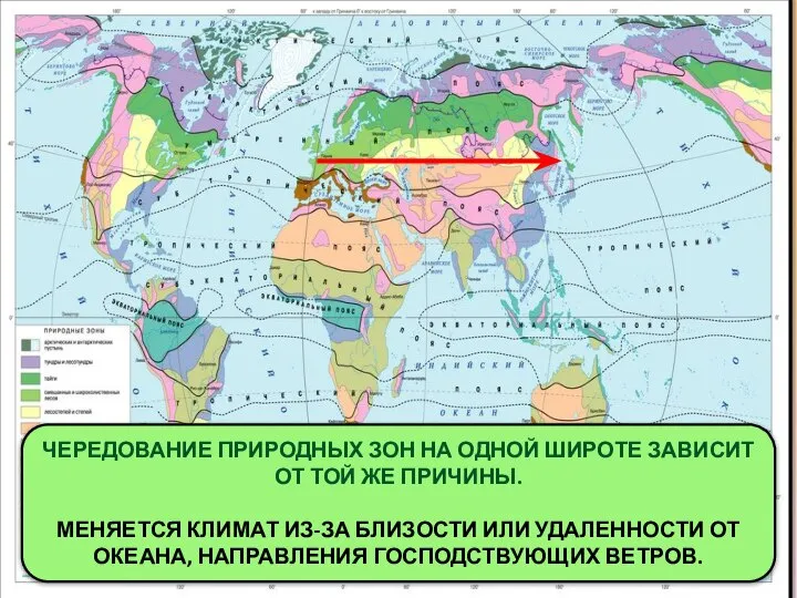 ОДНАКО ПРИРОДНЫЕ ЗОНЫ МЕНЯЮТСЯ И С ЗАПАДА НА ВОСТОК ПРОСЛЕДИМ ПО