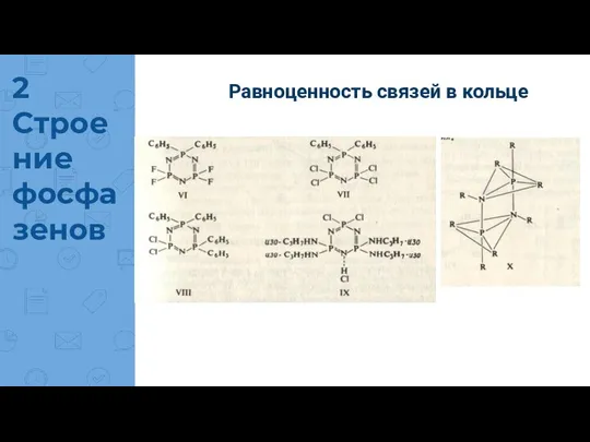 Равноценность связей в кольце 2 Строение фосфазенов