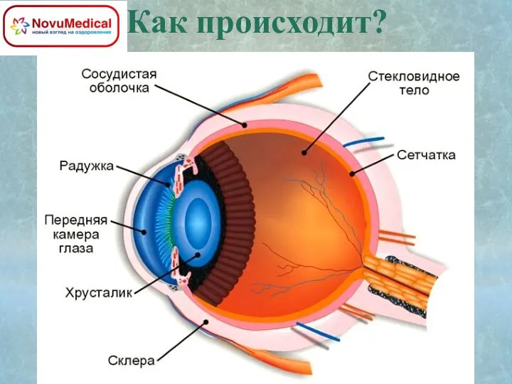 Как происходит?