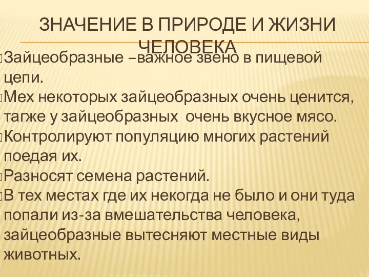 ЗНАЧЕНИЕ В ПРИРОДЕ И ЖИЗНИ ЧЕЛОВЕКА Зайцеобразные –важное звено в пищевой