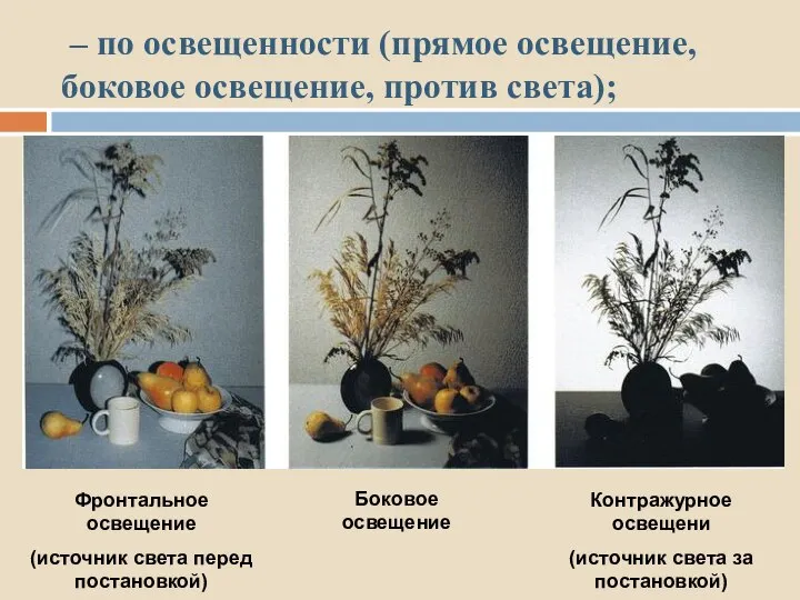 – по освещенности (прямое освещение, боковое освещение, против света); Фронтальное освещение