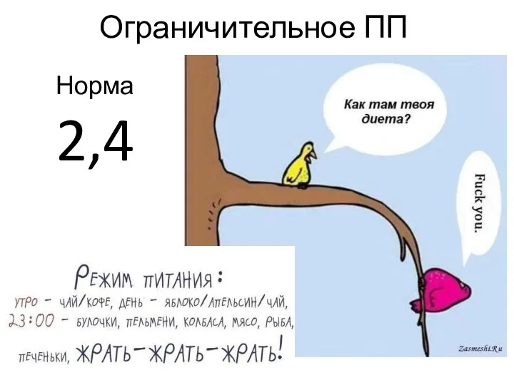 Ограничительное ПП Норма 2,4