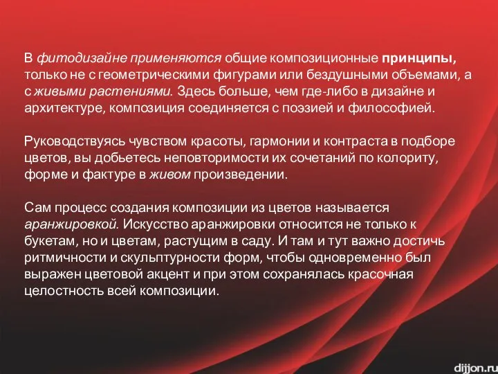 В фитодизайне применяются общие композиционные принципы, только не с геометрическими фигурами