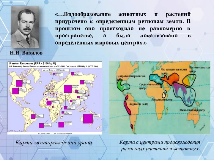 Н.И. Вавилов Карта месторождений урана Карта с центрами происхождения различных растений