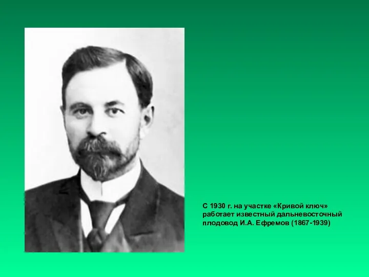 С 1930 г. на участке «Кривой ключ» работает известный дальневосточный плодовод И.А. Ефремов (1867-1939)