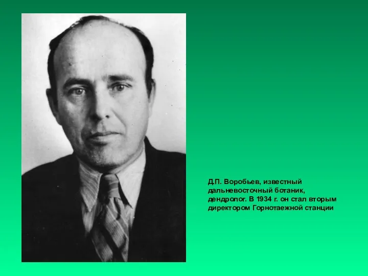 Д.П. Воробьев, известный дальневосточный ботаник, дендролог. В 1934 г. он стал вторым директором Горнотаежной станции