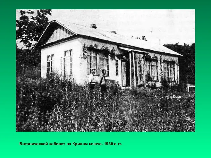Ботанический кабинет на Кривом ключе. 1930-е гг.
