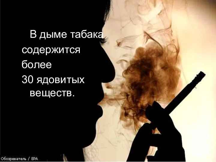 В дыме табака содержится более 30 ядовитых веществ.