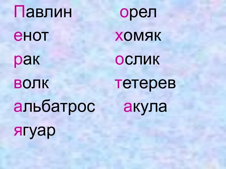 Павлин орел енот хомяк рак ослик волк тетерев альбатрос акула ягуар