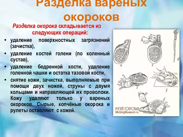 Разделка варёных окороков Разделка окорока складывается из следующих операций: удаление поверхностных