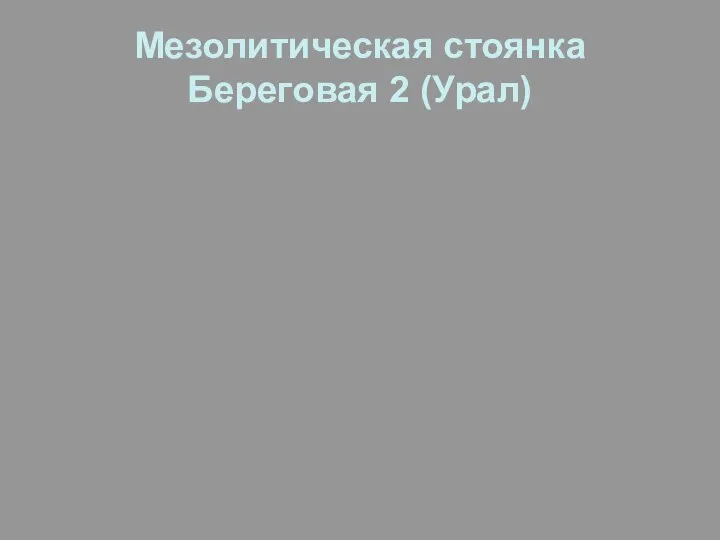 Мезолитическая стоянка Береговая 2 (Урал)
