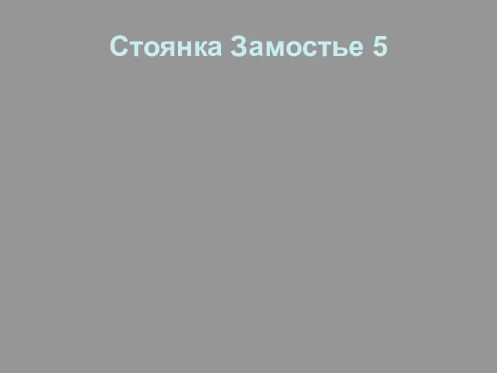 Стоянка Замостье 5