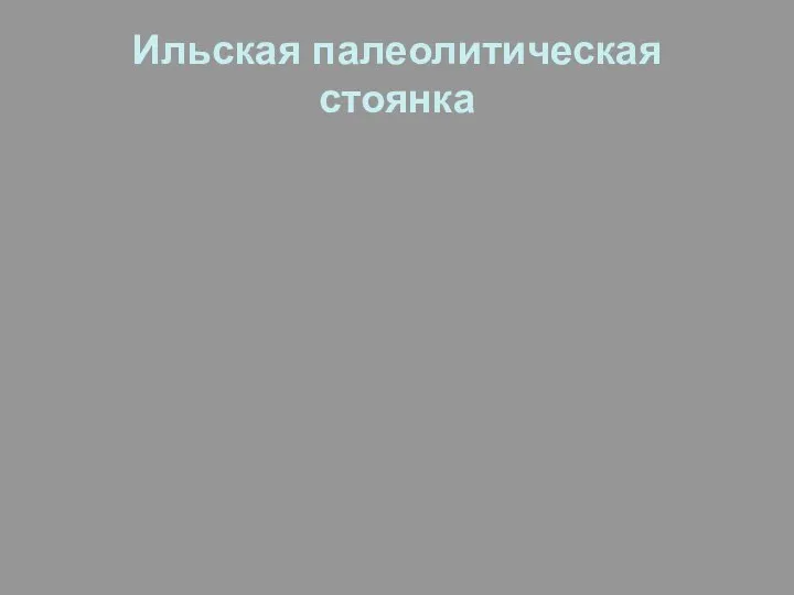 Ильская палеолитическая стоянка