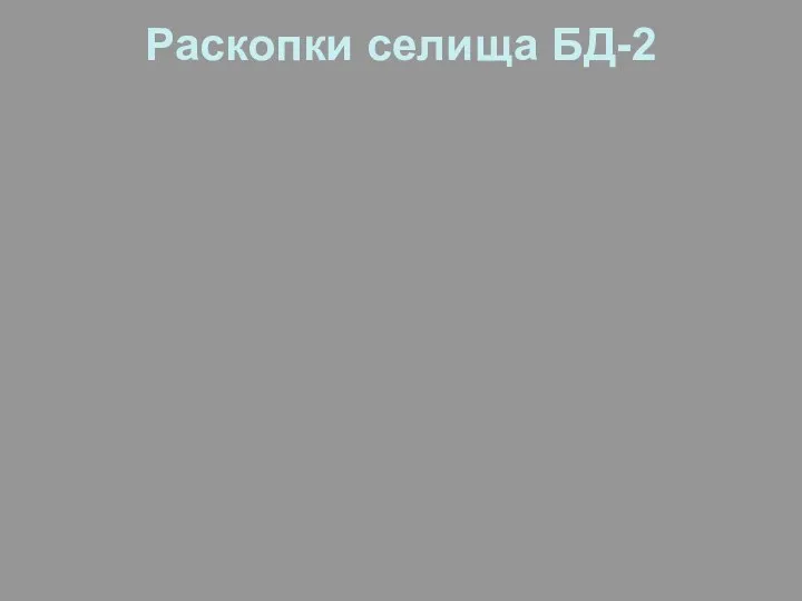 Раскопки селища БД-2