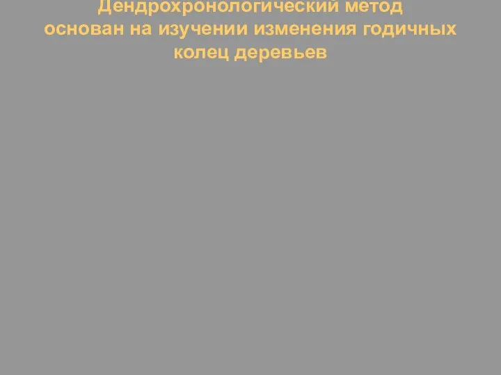 Дендрохронологический метод основан на изучении изменения годичных колец деревьев