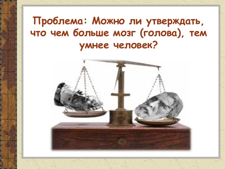 Проблема: Можно ли утверждать, что чем больше мозг (голова), тем умнее человек?