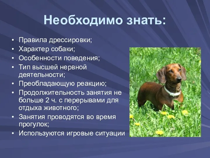 Необходимо знать: Правила дрессировки; Характер собаки; Особенности поведения; Тип высшей нервной