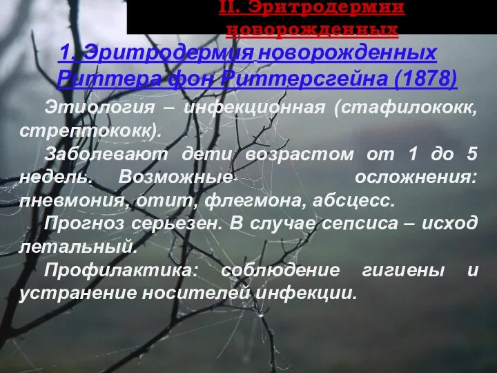 ІI. Эритродермии новорожденных 1. Эритродермия новорожденных Риттера фон Риттерсгейна (1878) Этиология