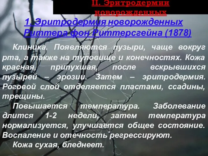 ІI. Эритродермии новорожденных 1. Эритродермия новорожденных Риттера фон Риттерсгейна (1878) Клиника.