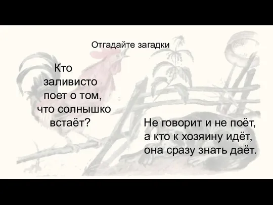 Отгадайте загадки Кто заливисто поет о том, что солнышко встаёт? Не