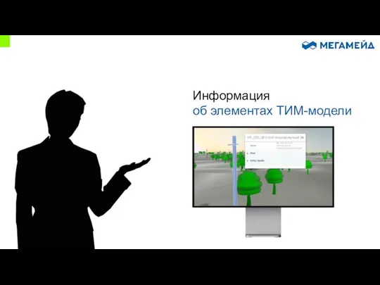 Информация об элементах ТИМ-модели