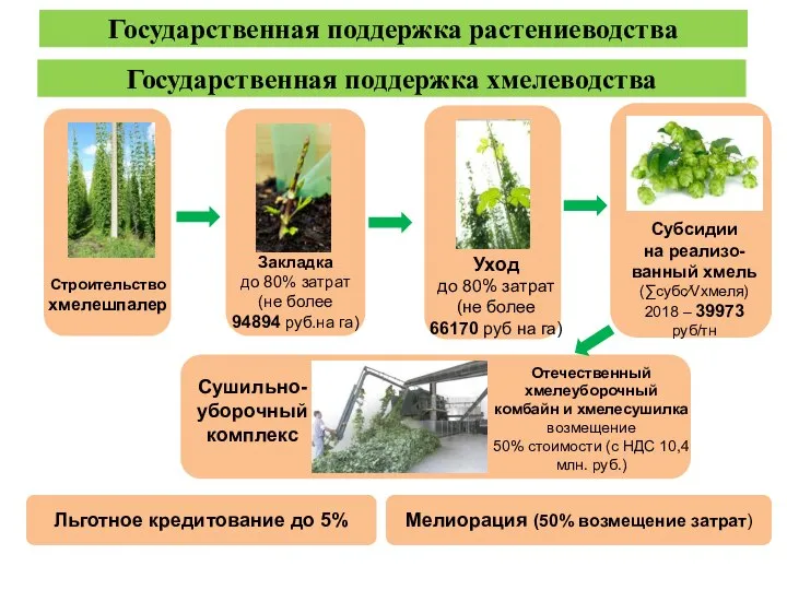 Закладка до 80% затрат (не более 94894 руб.на га) Уход до