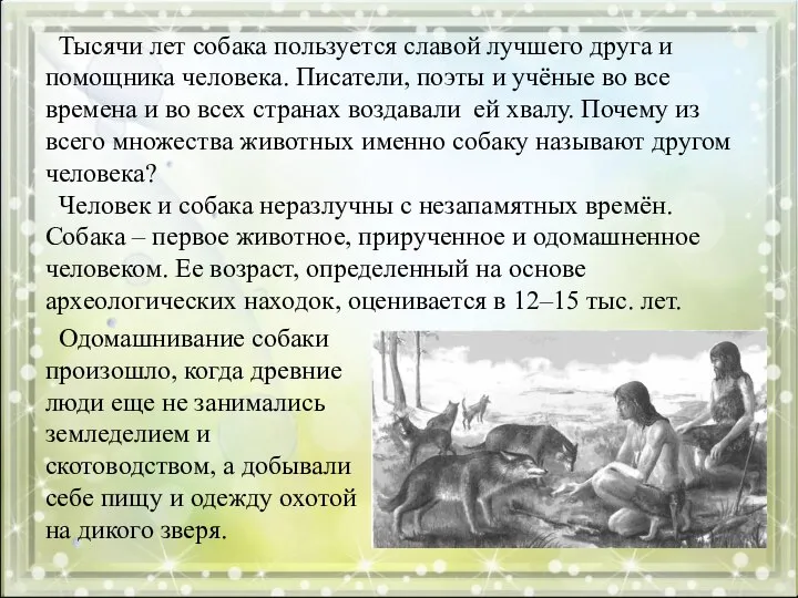 Тысячи лет собака пользуется славой лучшего друга и помощника человека. Писатели,