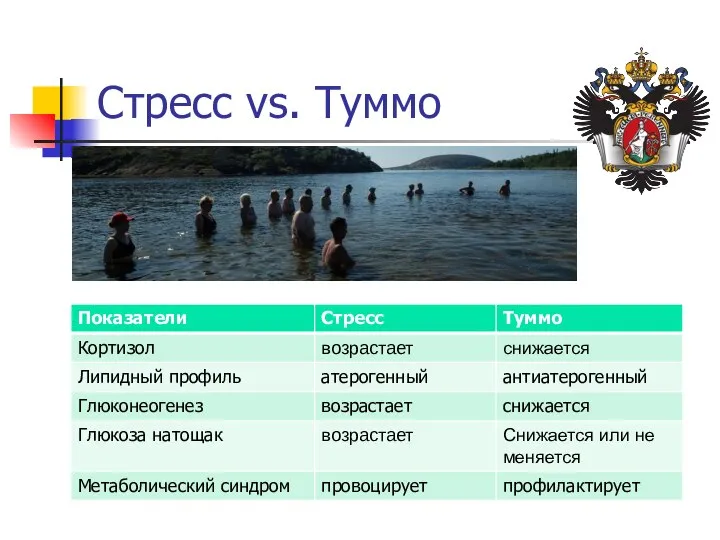 Стресс vs. Туммо