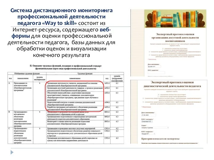 Система дистанционного мониторинга профессиональной деятельности педагога «Way to skill» состоит из