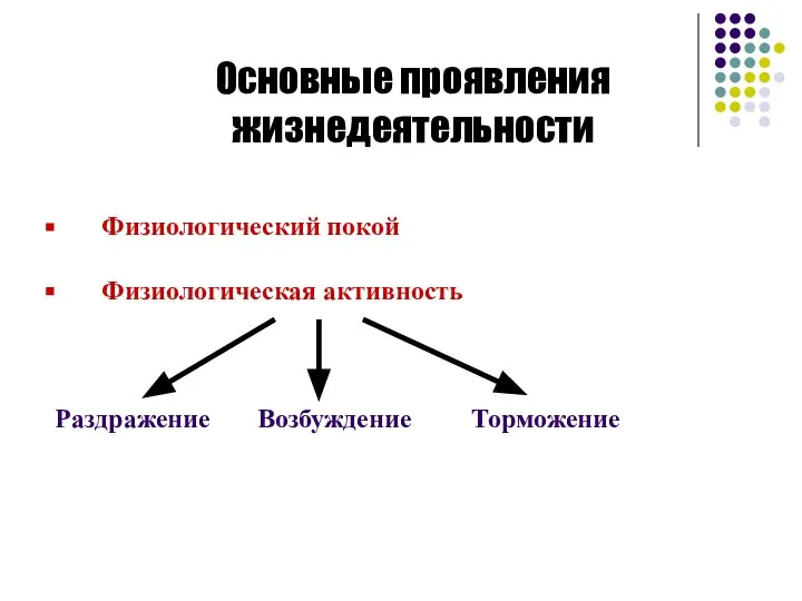 Основные проявления жизнедеятельности Физиологический покой Физиологическая активность Раздражение Возбуждение Торможение