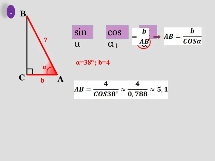 b α ? 1 α=38°; b=4 sinα cosα tgα 1
