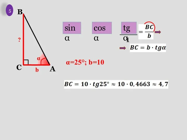 b α ? 5 α=25°; b=10 sinα cosα tgα 1