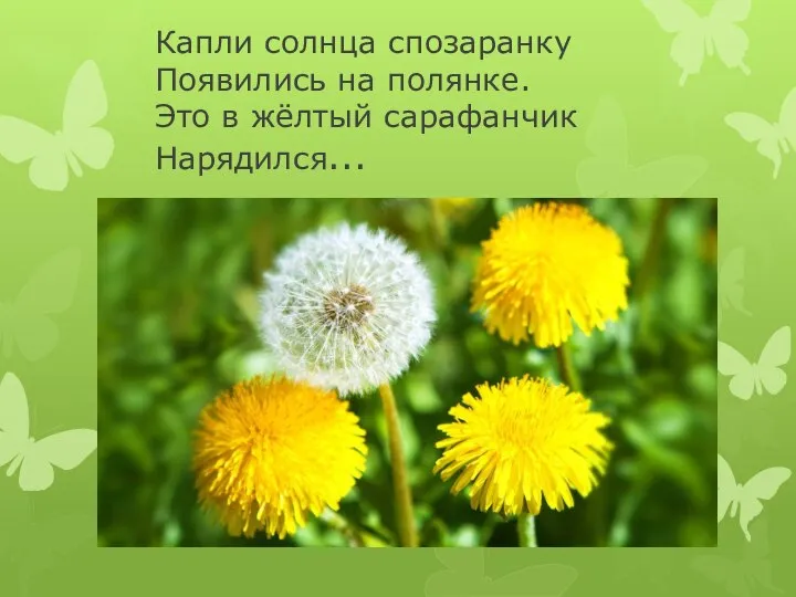 Капли солнца спозаранку Появились на полянке. Это в жёлтый сарафанчик Нарядился...