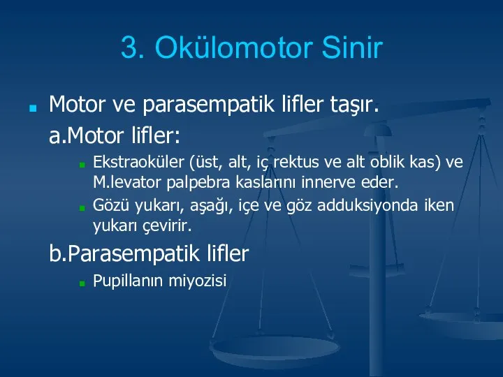 3. Okülomotor Sinir Motor ve parasempatik lifler taşır. a.Motor lifler: Ekstraoküler