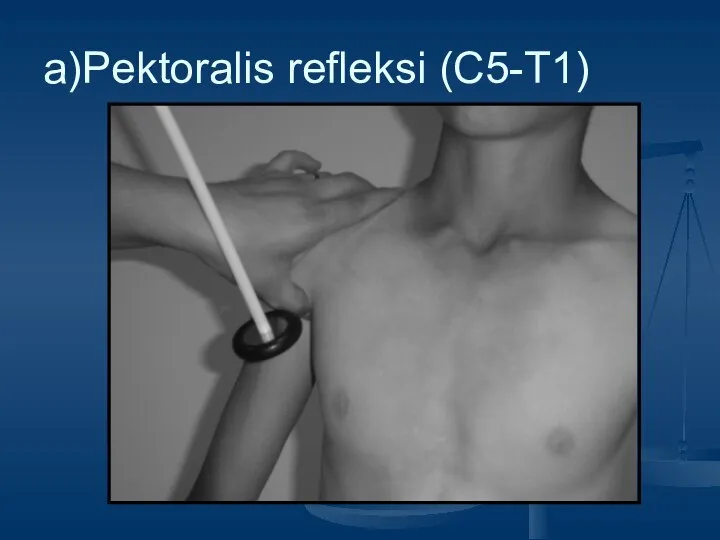 a)Pektoralis refleksi (C5-T1)