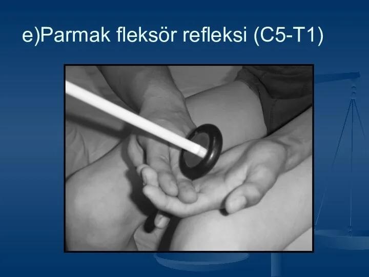 e)Parmak fleksör refleksi (C5-T1)