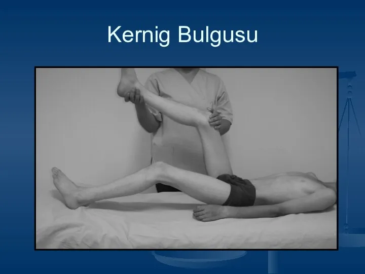 Kernig Bulgusu