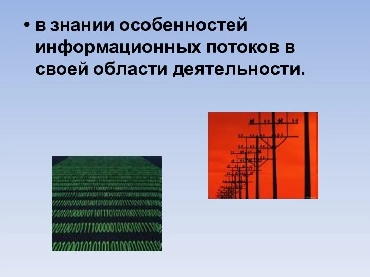 в знании особенностей информационных потоков в своей области деятельности.