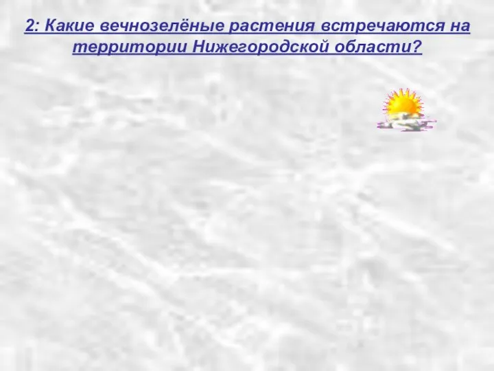 2: Какие вечнозелёные растения встречаются на территории Нижегородской области?