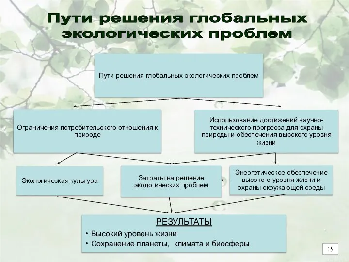 Пути решения глобальных экологических проблем 19