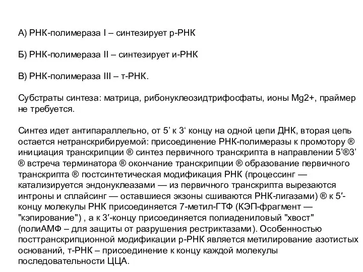 А) РНК-полимераза I – синтезирует р-РНК Б) РНК-полимераза II – синтезирует