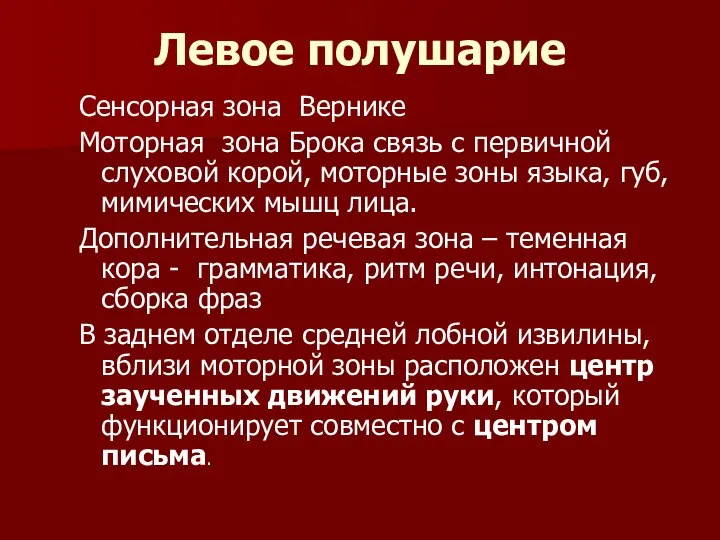 Левое полушарие Сенсорная зона Вернике Моторная зона Брока связь с первичной