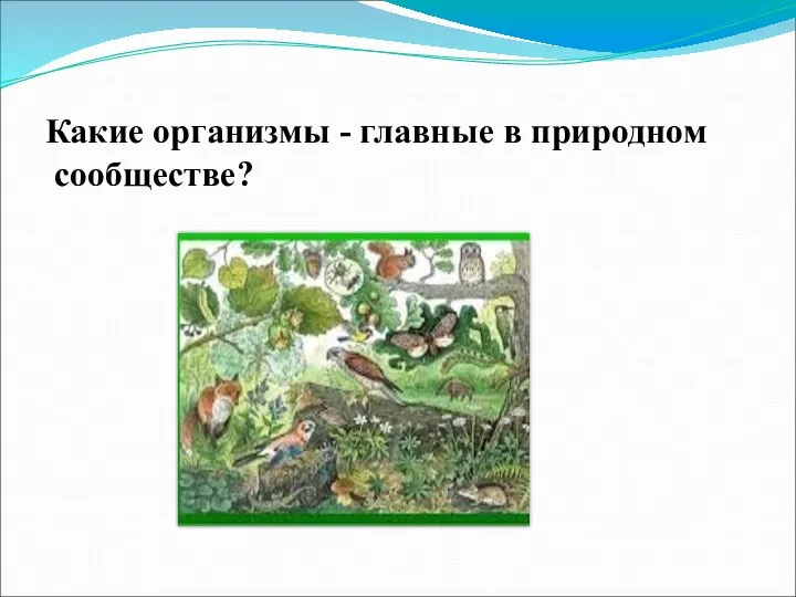 Какие организмы - главные в природном сообществе?