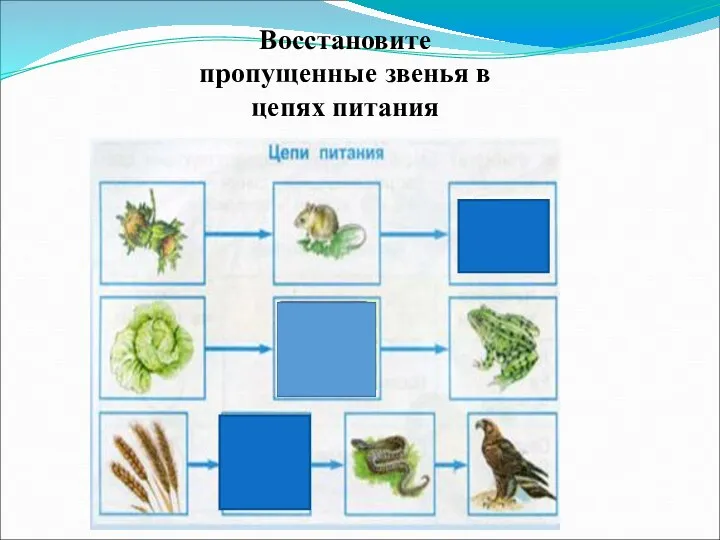 Восстановите пропущенные звенья в цепях питания