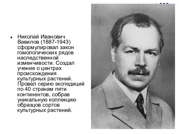 Николай Иванович Вавилов (1887-1943) сформулировал закон гомологических рядов наследственной изменчивости. Создал